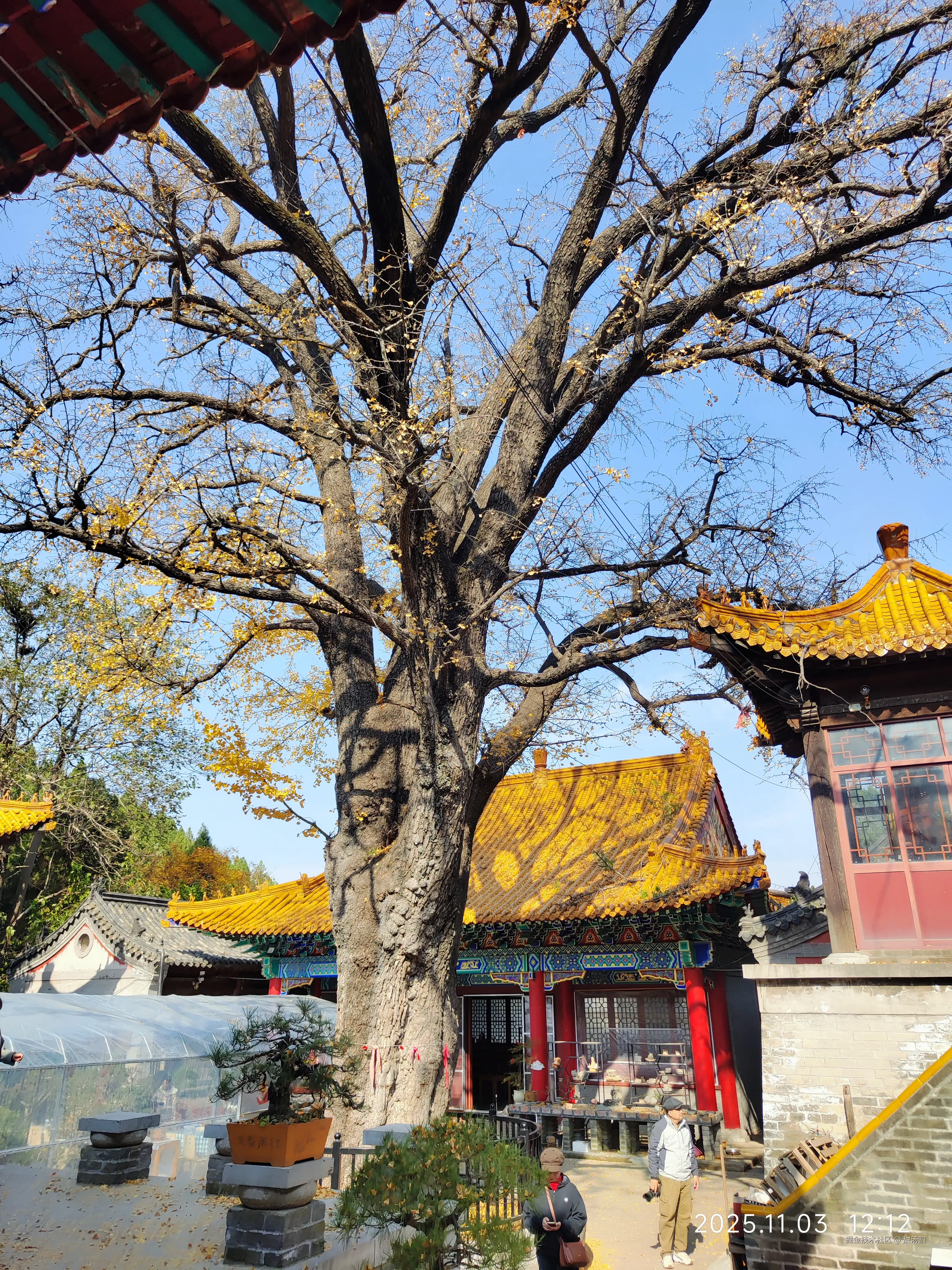 甜汤圆于2025-11-03 13:33发布的图片