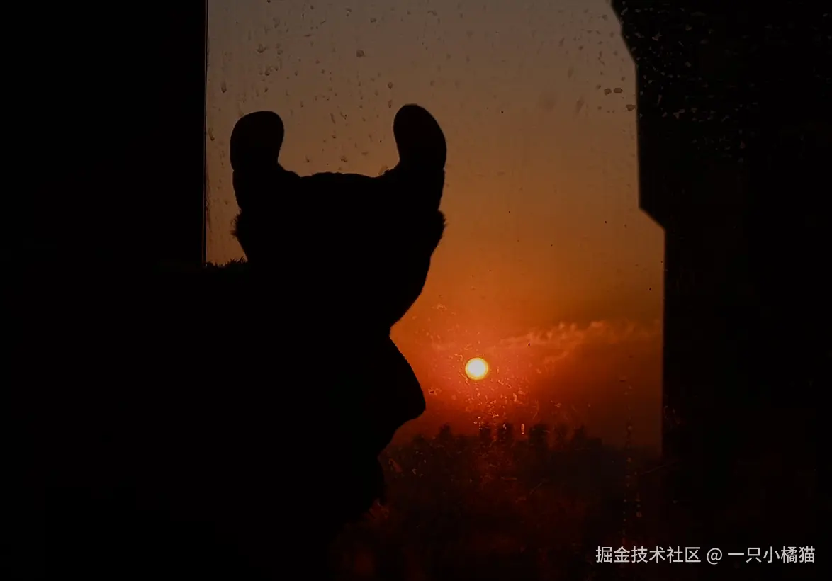 一只小橘猫于2025-10-23 10:00发布的图片