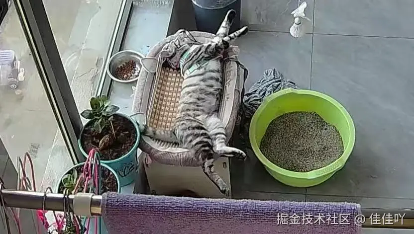 佳佳吖于2026-06-05 01:23发布的图片