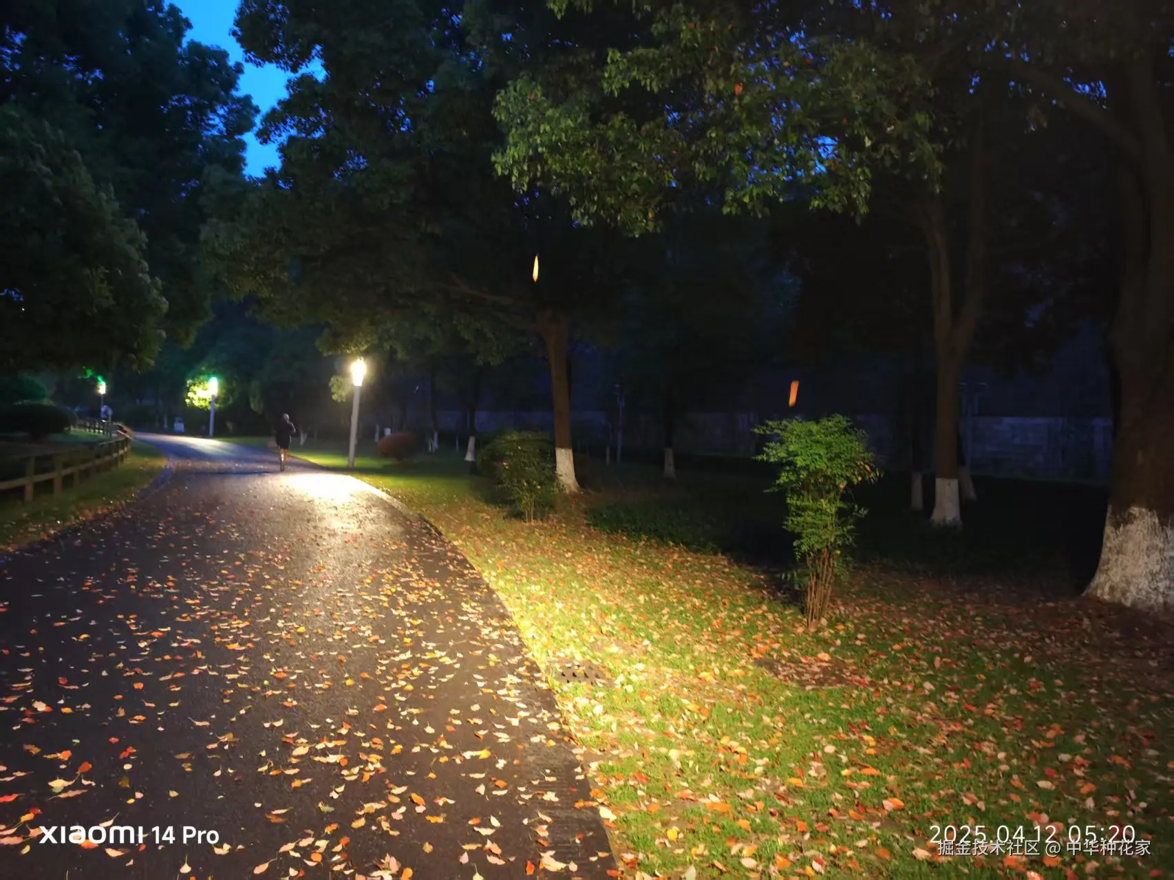 中华种花家于2025-04-14 08:44发布的图片