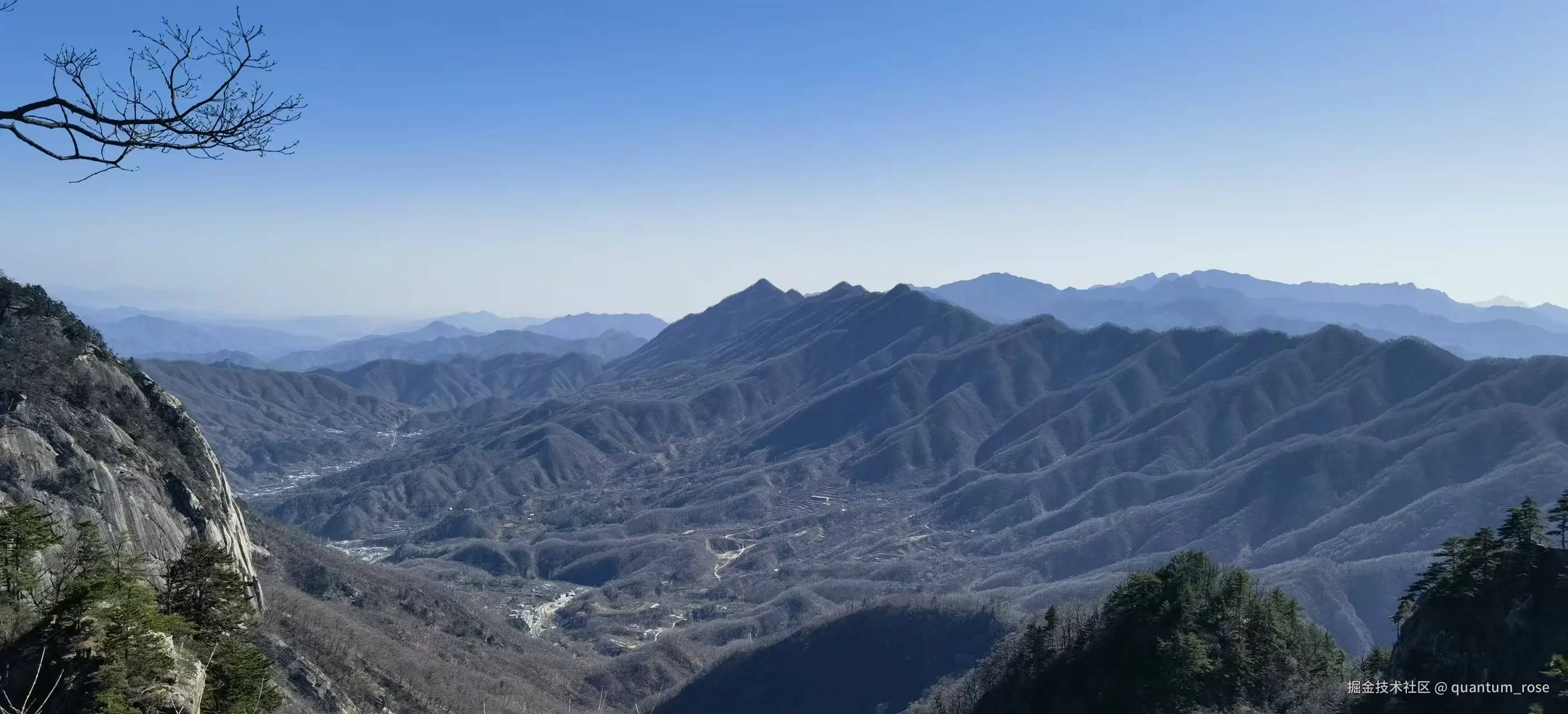 quantum_rose于2025-12-01 15:12发布的图片