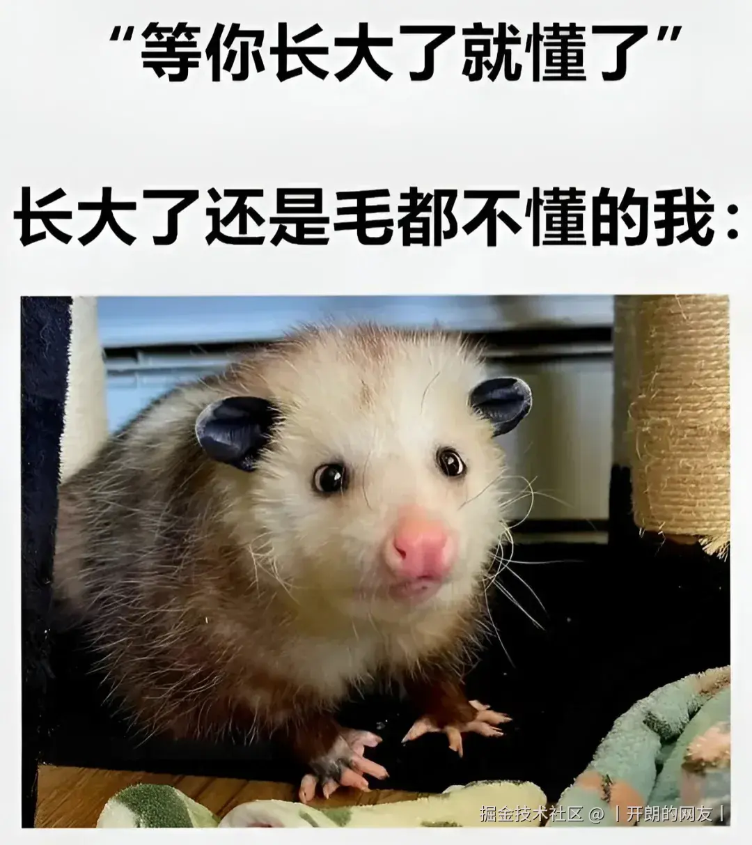 丨开朗的网友丨于2025-05-12 01:43发布的图片