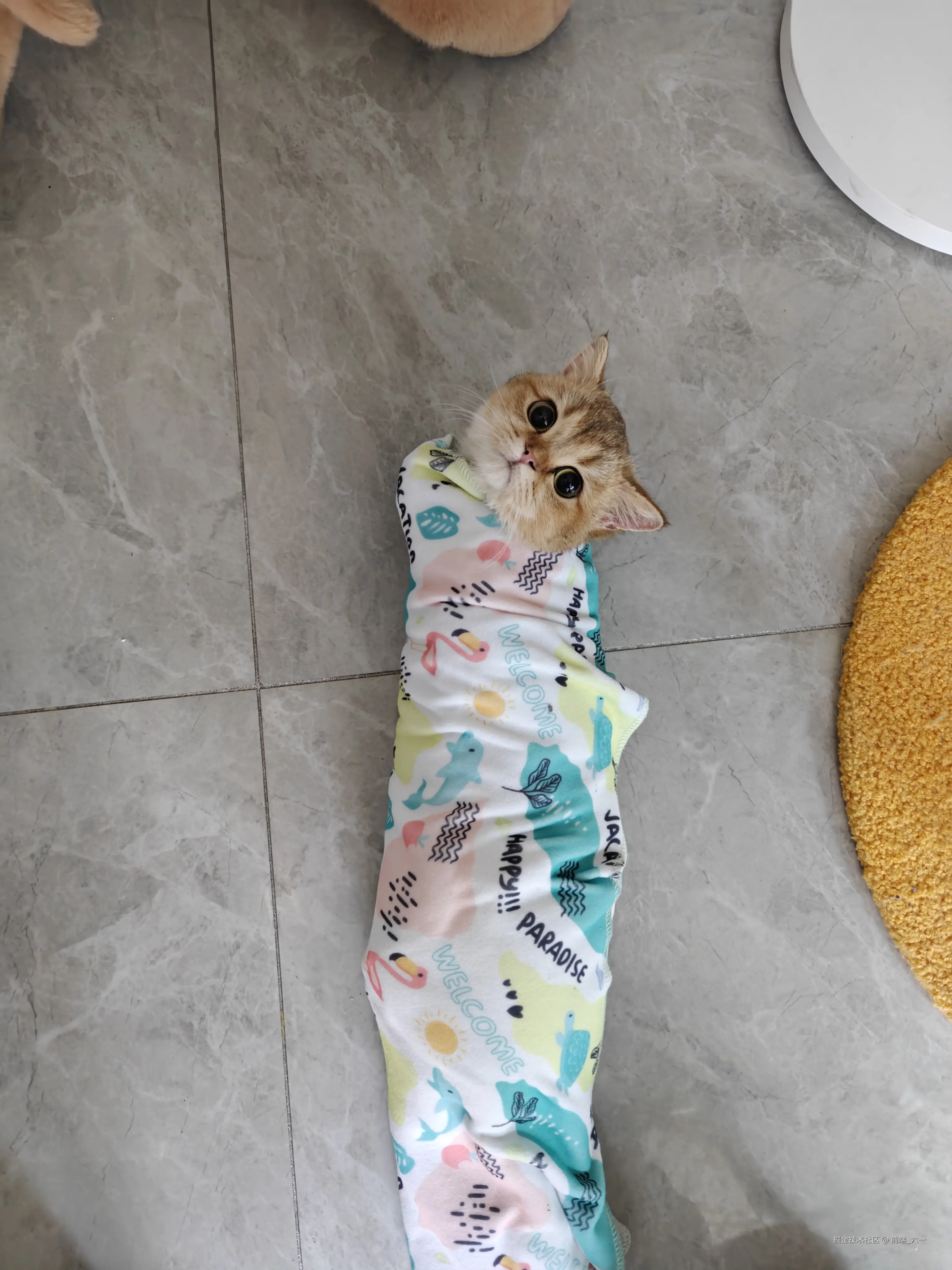 前端_六一于2024-12-05 16:30发布的图片