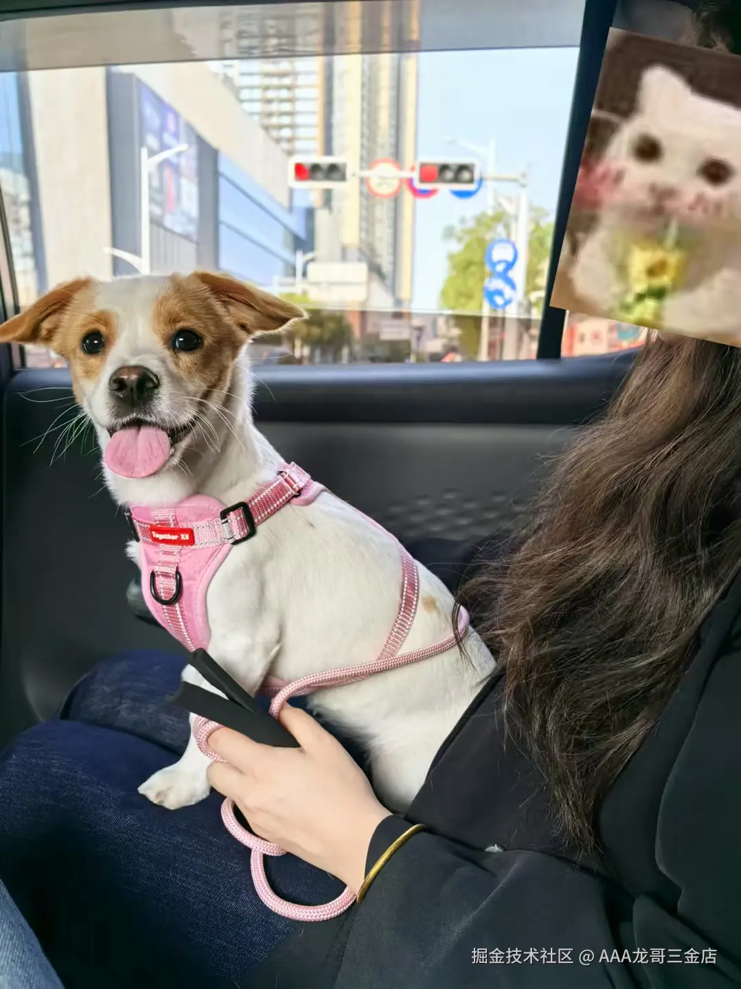 AAA龙哥三金店于2025-03-10 10:22发布的图片