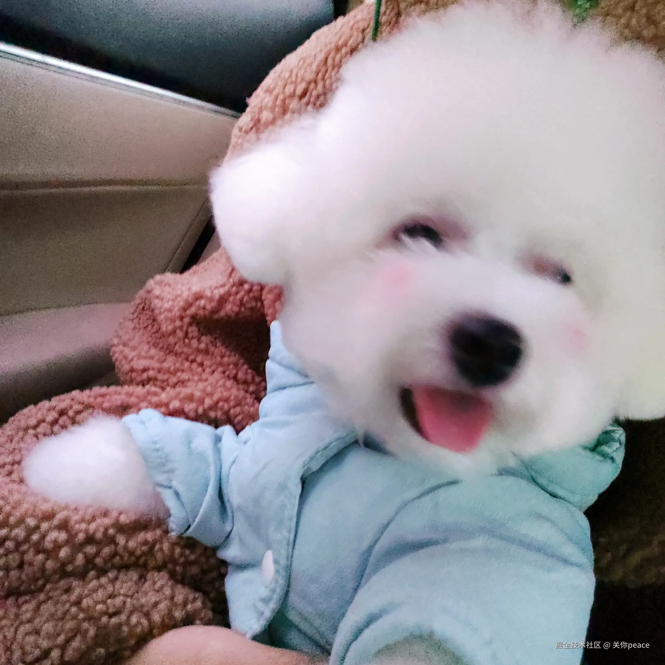 关你peace于2024-11-18 09:18发布的图片