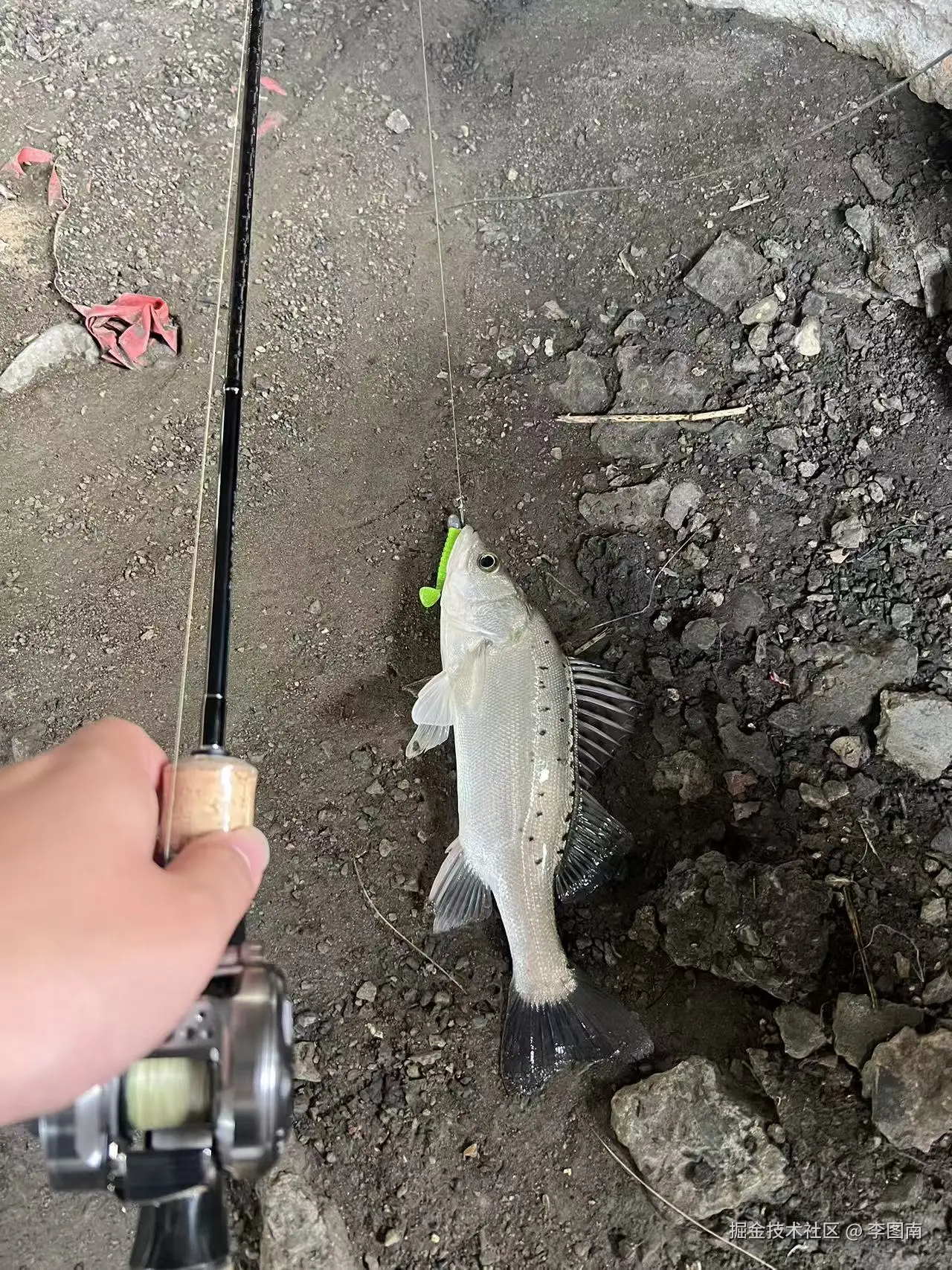 李图南于2025-10-15 15:20发布的图片