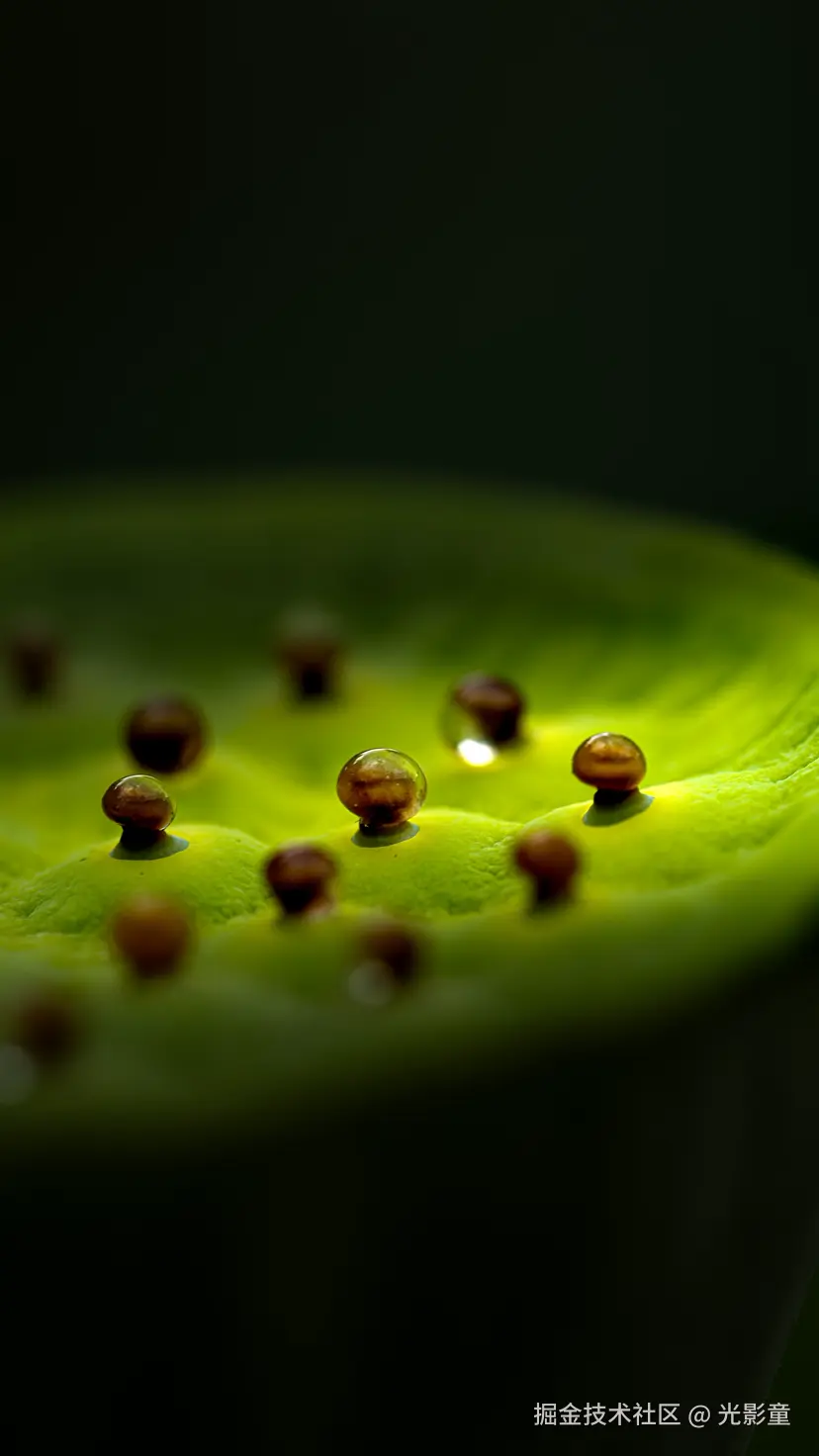 光影童于2025-08-05 08:23发布的图片