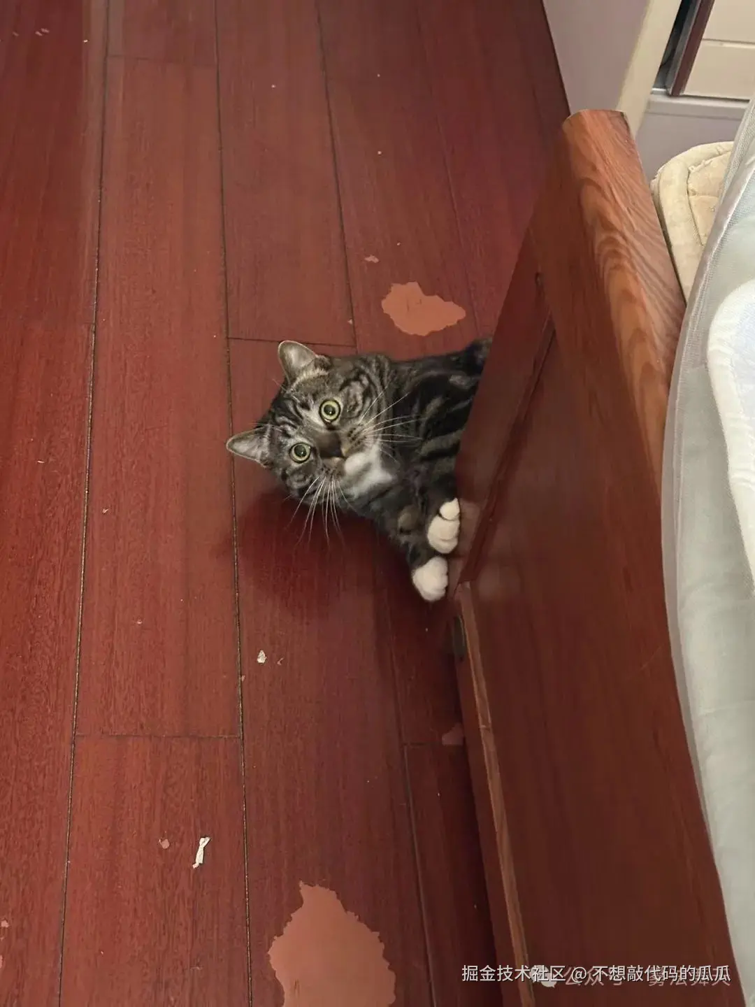 不想敲代码的瓜瓜于2025-04-25 10:43发布的图片