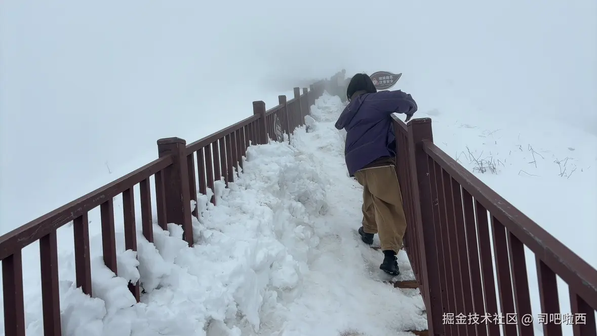 司吧啦西于2025-04-09 09:54发布的图片