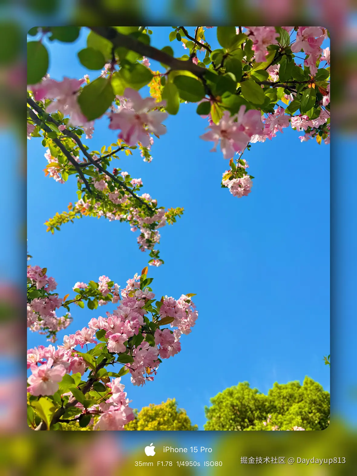 Daydayup813于2025-03-31 11:41发布的图片