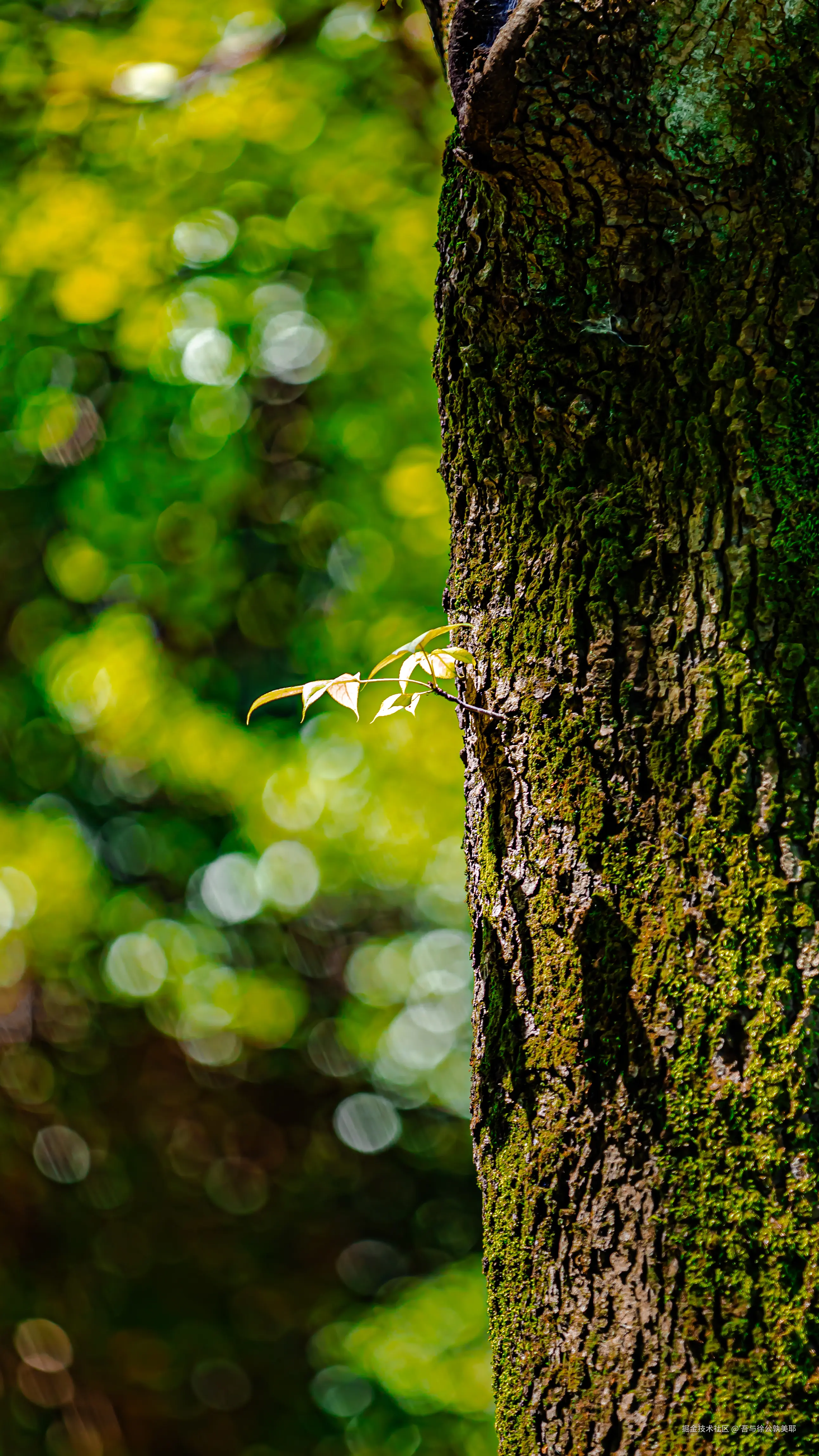 吾与徐公孰美耶于2024-08-09 10:00发布的图片