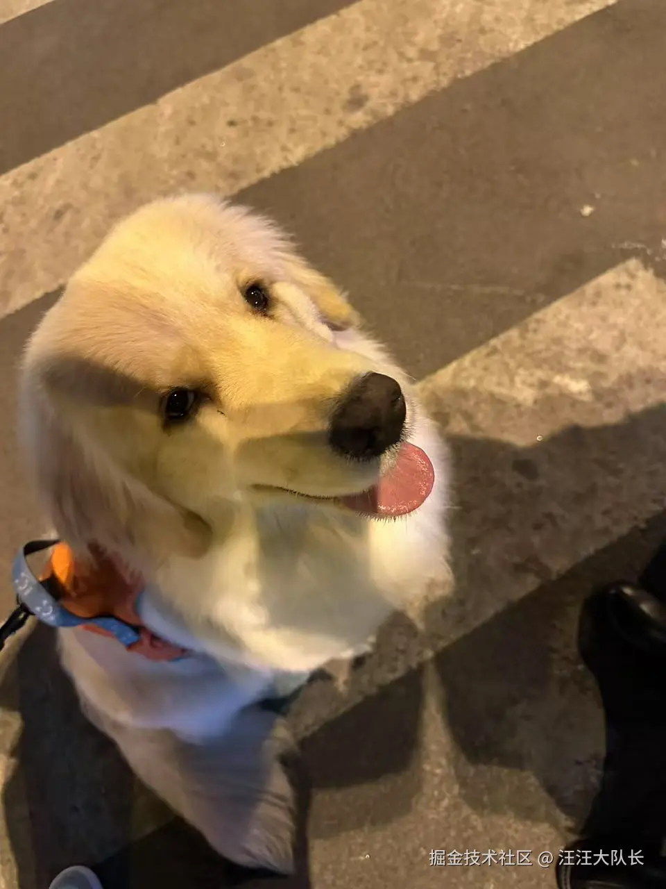 汪汪大队长于2025-04-24 10:07发布的图片