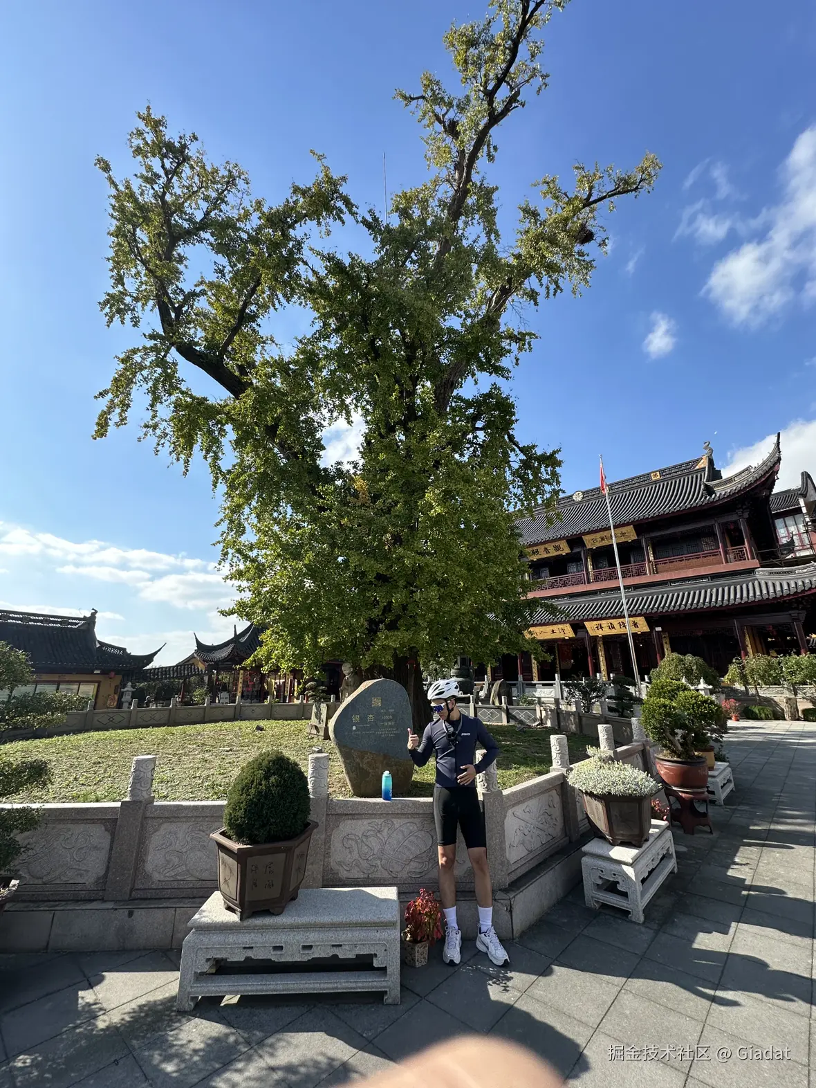 Giadat于2024-11-28 10:33发布的图片