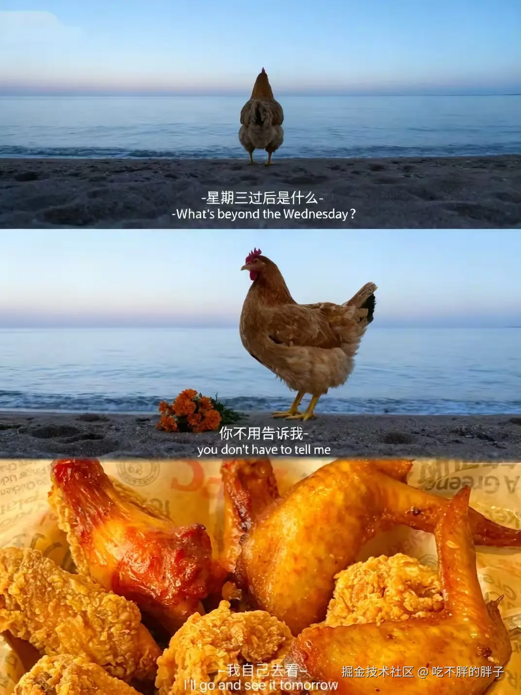 吃不胖的胖子于2025-10-22 09:10发布的图片