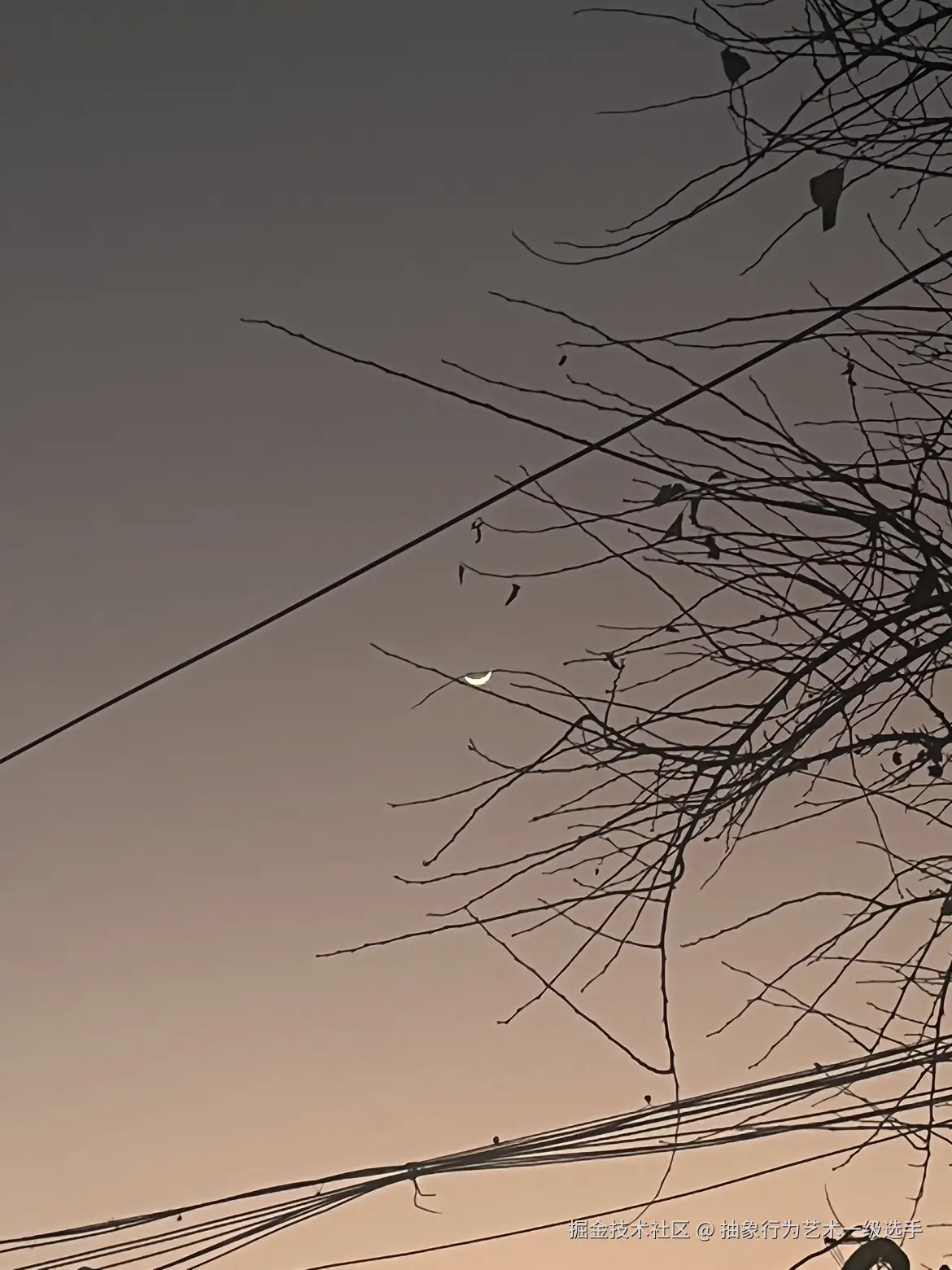 抽象行为艺术一级选手于2026-02-04 10:33发布的图片