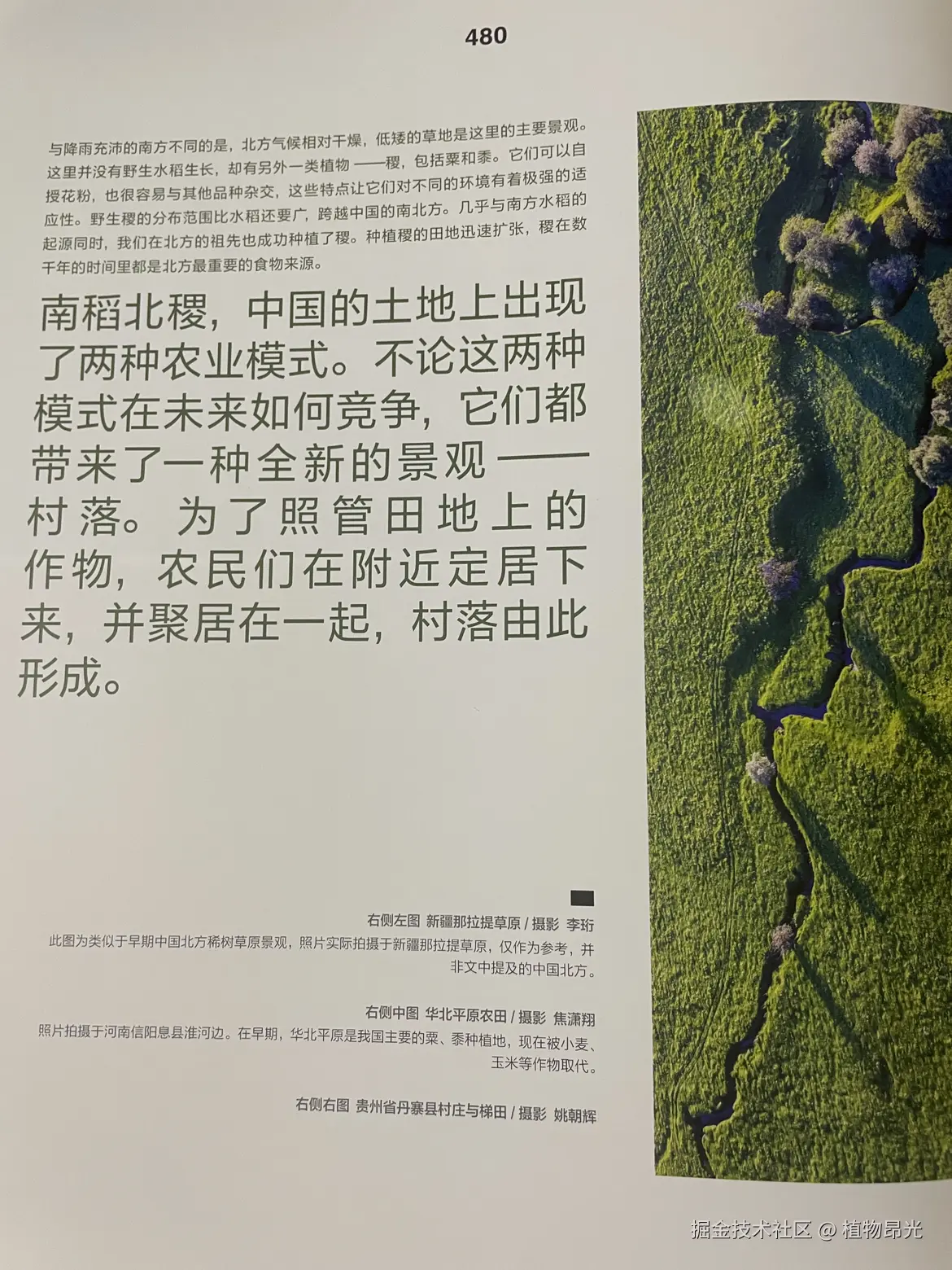 植物昂光于2026-04-30 22:33发布的图片