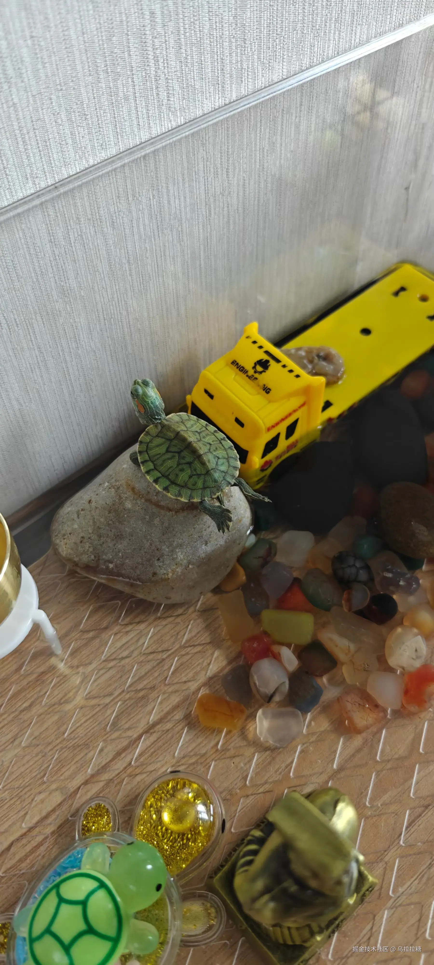 乌拉拉糖于2025-06-23 22:23发布的图片