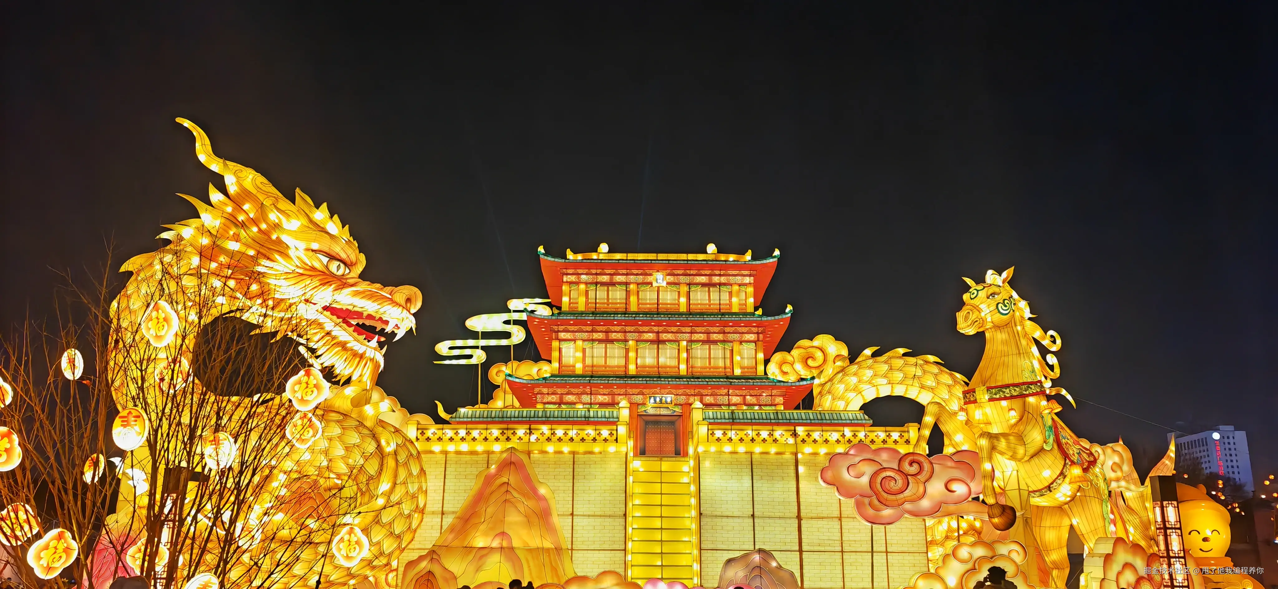 甩了他我编程养你于2026-02-21 11:07发布的图片