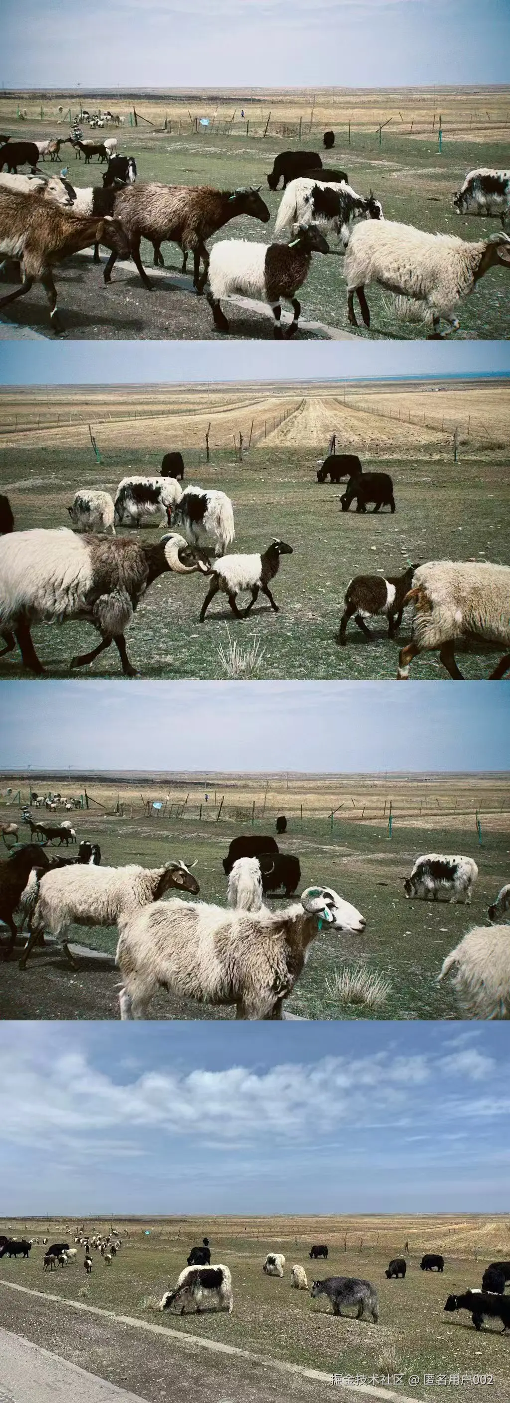 匿名用户002于2026-04-13 14:24发布的图片